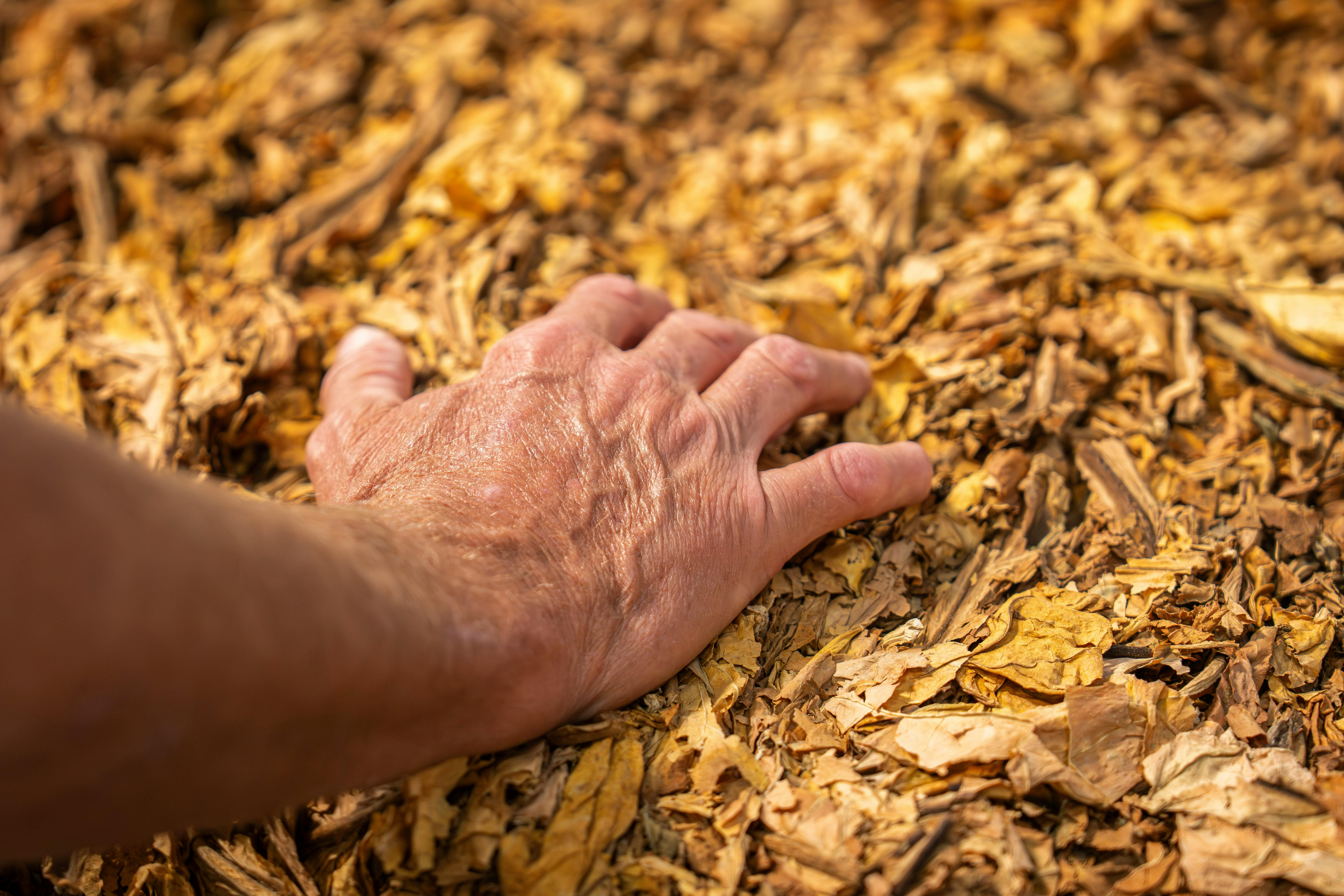 Sultan House team member standing in front of heavy machinery